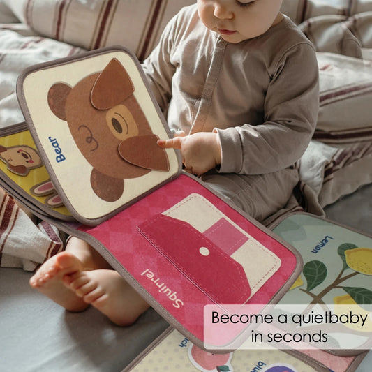 Montessori Busy Book Animal Cognitive Sensory Learning Toy