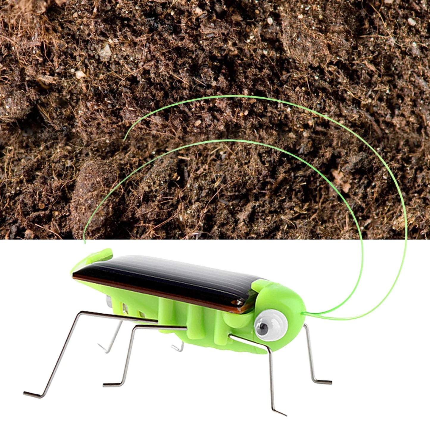 Solar Powered Grasshopper Toy Jumping Science Puzzle for Kids