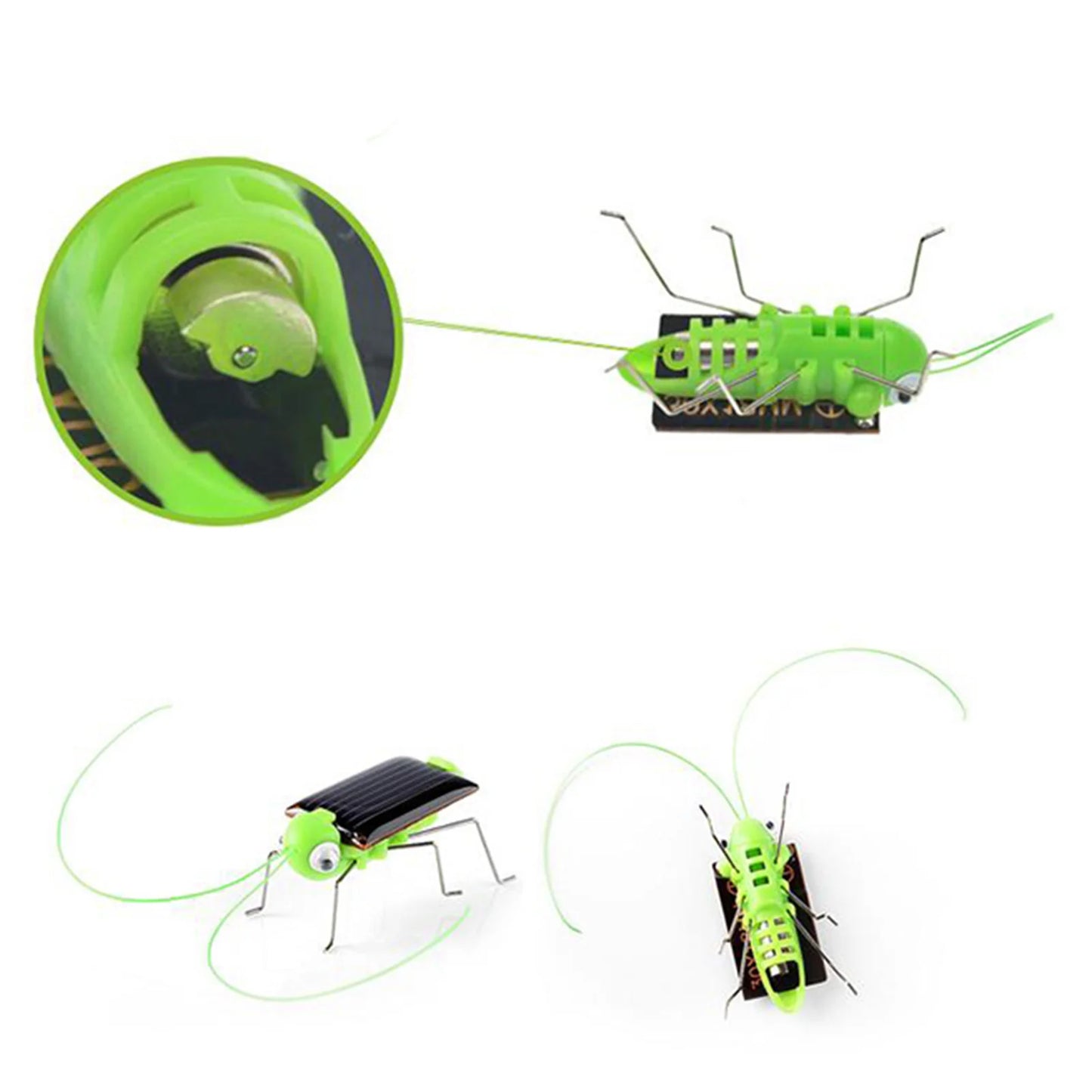 Solar Powered Grasshopper Toy Jumping Science Puzzle for Kids