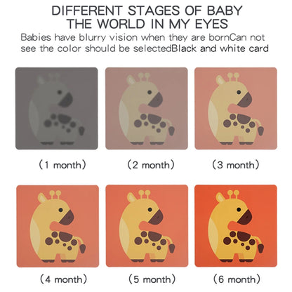 Baby Visual Stimulation Cards Montessori High Contrast Flash Cards