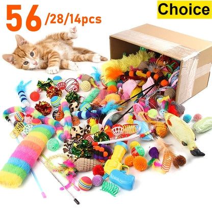 Cat Toy Variety Pack with Plush and Interactive Toys
