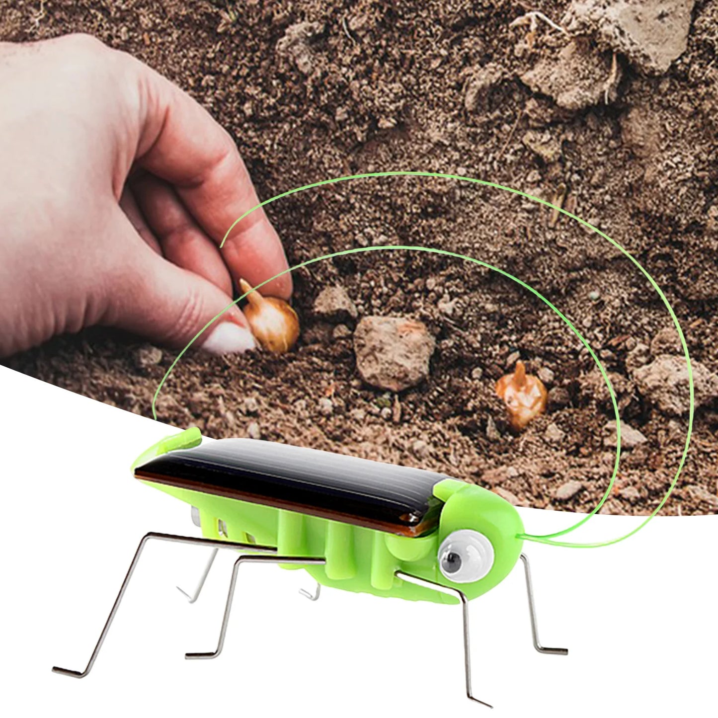 Solar Powered Grasshopper Toy Jumping Science Puzzle for Kids