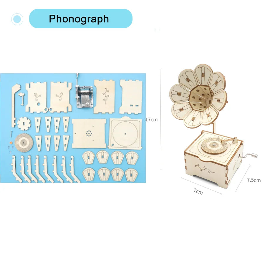 STEM Science Kit DIY Wooden Educational Learning Toy