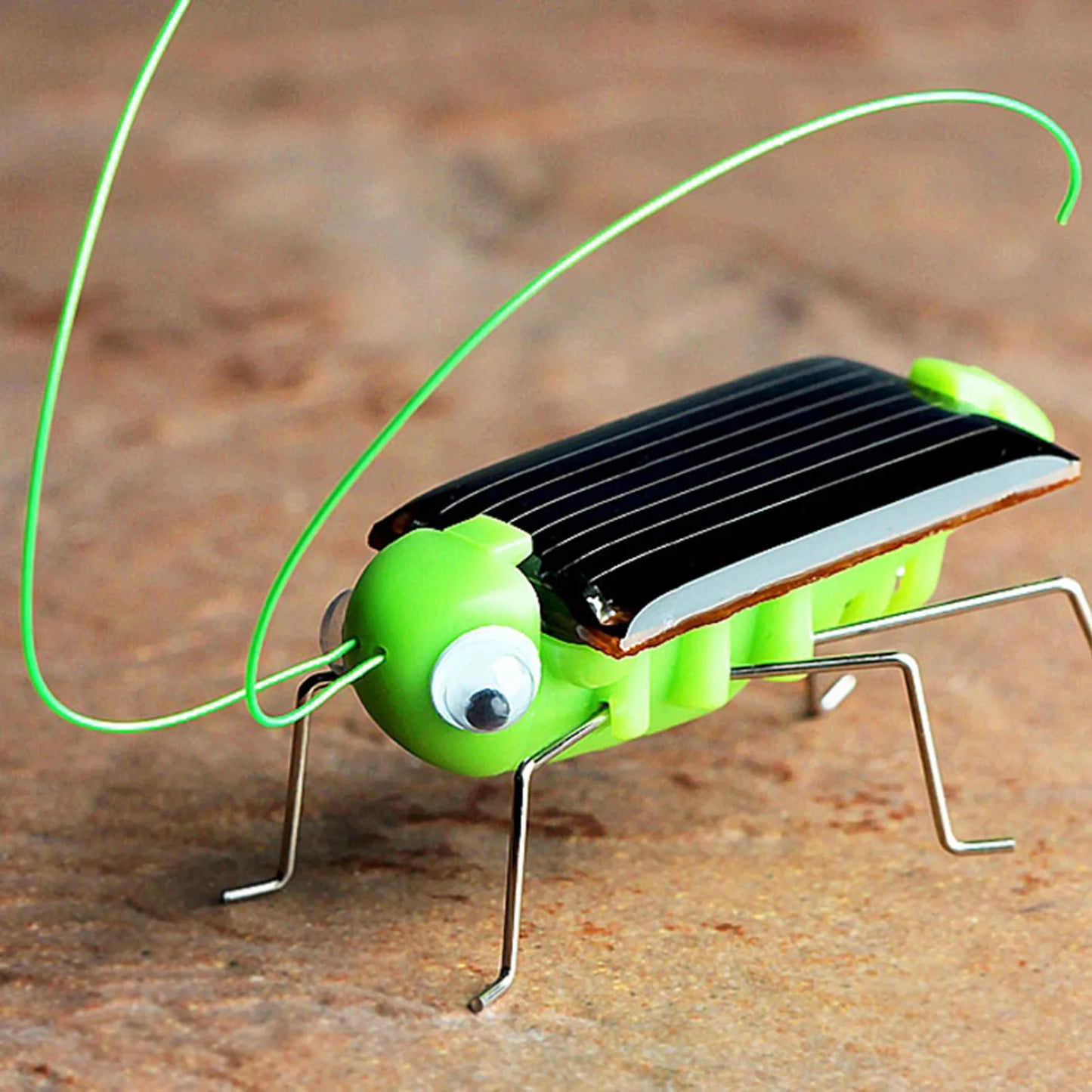 Solar Powered Grasshopper Toy Jumping Science Puzzle for Kids