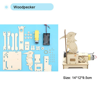 STEM Science Kit DIY Wooden Educational Learning Toy