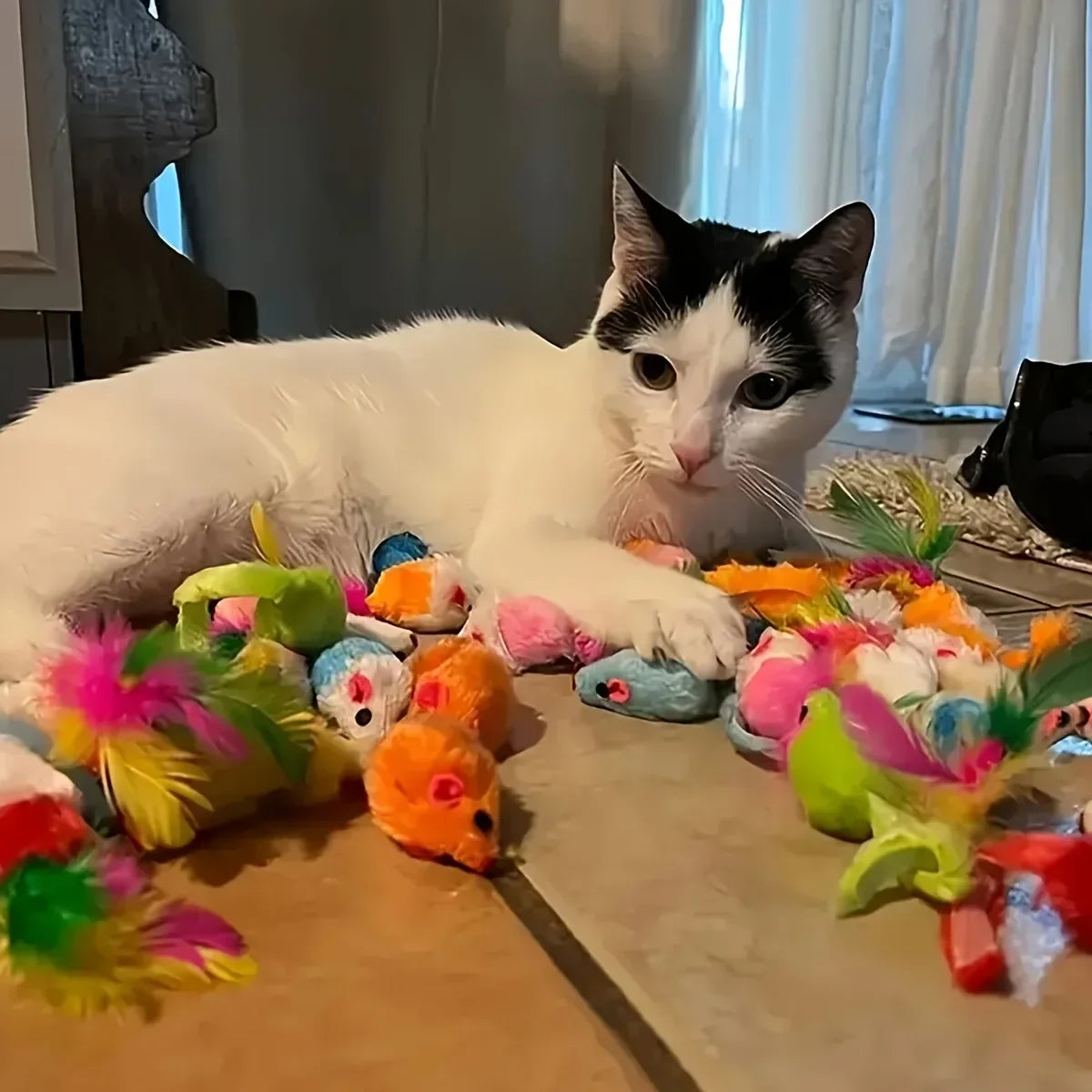 Cat Toy Variety Pack with Plush and Interactive Toys